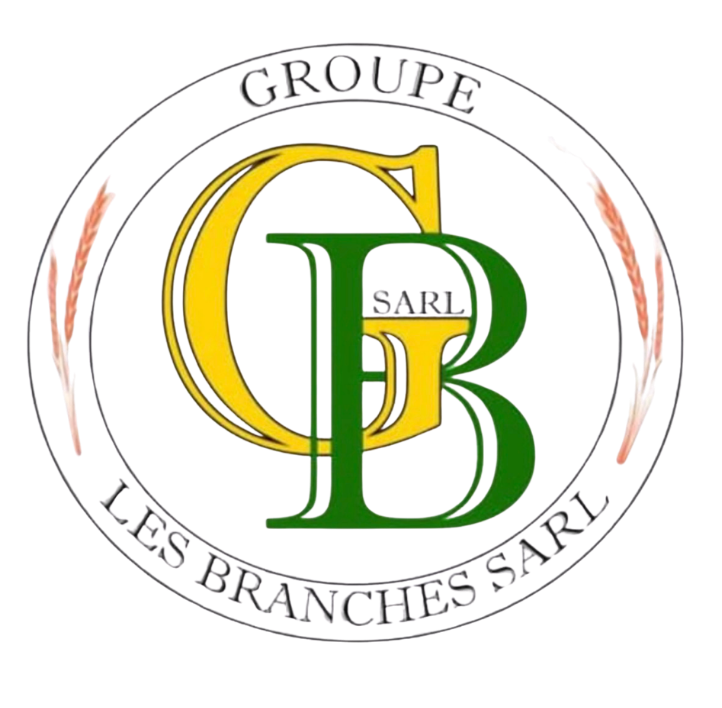 www.groupelesbranchessarl.com